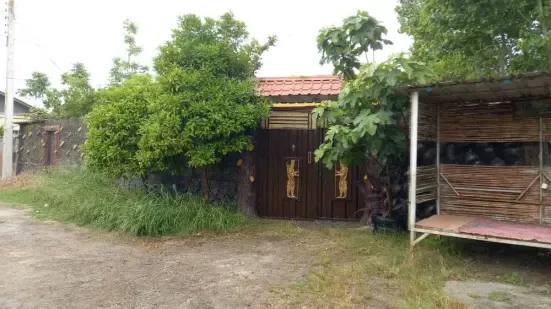 فروش ویژه ویلا باغی با ویو ابدی ۲ قدمی ساحل سرخرود