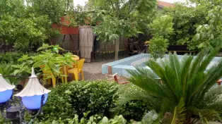 خرید ویژه ویلا باغ لاکچری جاده ساحلی فریدونکنار