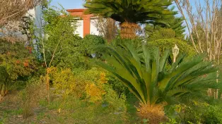 فروش ویلای ساحلی پلاک اول دریا دوبلکس۳ خواب شهرکی