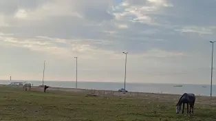 فروش ویلای ساحلی پلاک اول دریا دوبلکس۳ خواب شهرکی