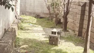 ویلا باغ فلت سرخرود جنوبی