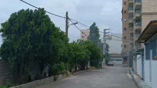 زمین ۲۰۸ متری پلاک اول فریدونکنار سند تک برگ