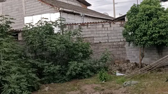 زمین ساحلی ۱۲۰ بافت مسکونی چاکسر سرخرود