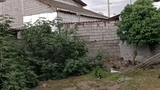 زمین ساحلی ۱۲۰ بافت مسکونی چاکسر سرخرود