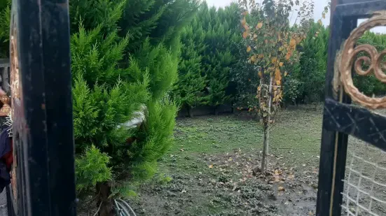 زمین شهرکی ۲۵۰ متری بر اصلی فاصله ۵۰۰ متری اتوبان