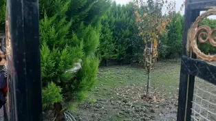 زمین شهرکی ۲۵۰ متری بر اصلی فاصله ۵۰۰ متری اتوبان