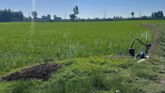 زمین کشاورزی ۱۳ هزار متری ۳ بر با سند تک برگ