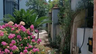 ویلا ۲۴۰ متری فلت ۲ خواب لوکیشین سرسبز و دلباز