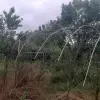 ویلا باغ مشجر و سرسبز باگلخانه محمود اباد