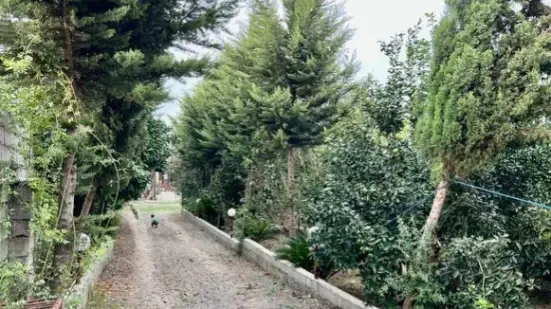 فروش فوری ویلا باغ ۱۳۶۲ متر مبله ۴ خواب دومستر آمل