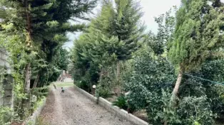 فروش فوری ویلا باغ ۱۳۶۲ متر مبله ۴ خواب دومستر آمل