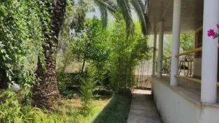 ویلا باغ ساحلی ۲۰۰ متری دریا