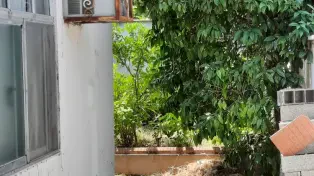 200 متر ویلا ساحلی سنددار چاکسر سرخرود