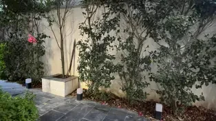 عمارت رویایی با طراحی خاص و امکانات ویژه ، سرخرود