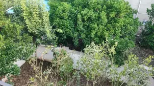 ویلا دوبلکس در نوار ساحلی سرخرود