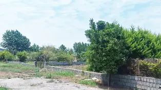 250 متر زمین شهرکی سنددار سرخرود