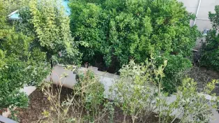 ویلا با متریال و سازنده مجرب میخوای تماس بگیرید