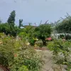 ویلا باغ لاکچری ساحلی سندششدانگ داخل شهر سرخرود