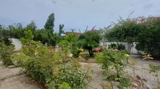 ویلا باغ ۸۰۰ متری در قلب سرخرود