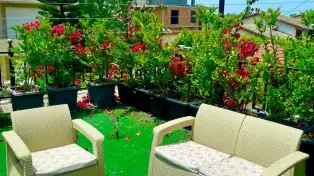 اجاره ویلا استخردار مبله سه خواب شهرکی در سرخرود
