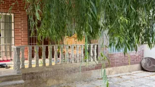 باغ ویلا شهرکی در سرخرود