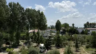 فروش ویلا دوبلکس استخردار جنگلی در سرخرود — تصویر ۸