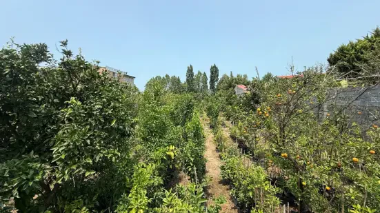 فروش زمین ۲۰۰۰متری داخل بافت و سنددار