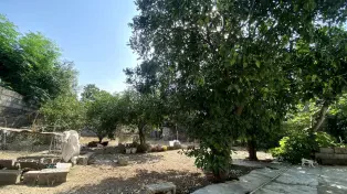 فروش ویلا باغ شهری سرخرود — تصویر ۳