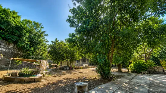 فروش ویلای ساحلی ۵۱۰ متری در قلب سرخرود سند ششدانگ