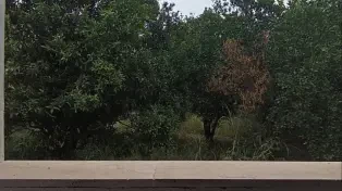 فروش ویلا فلت نوساز ۲ خواب با سند — تصویر ۴