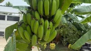 فروش ویلا دوبلکس ۴۶۰ متری با استخر و آلاچیق سنددار — تصویر ۸