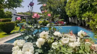 خونه باغ ۱و۲۰۰متری استخرداربا لوکیشن عالی — تصویر ۴