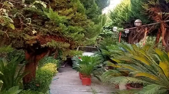 ویلا باغ فلت شیک