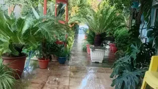 ویلا باغ فلت شیک — تصویر ۳