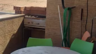 ادارتمان خط دریا فلامینگو