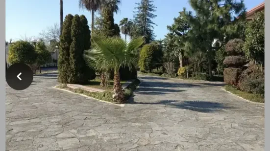 زمین ۱۰۰ متری سرخرود،بر ۸/۵ متر،فقط ۳ میلیاردو ۵۰۰