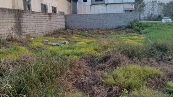 فروش ۳۰۰ متر زمین در سرخرود