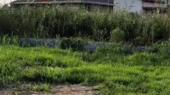 زمین دونبش درجای عالی