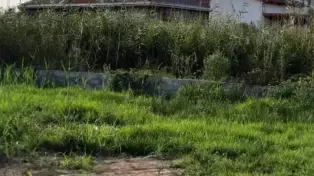 زمین دونبش درجای عالی