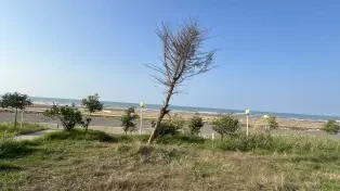 فروش زمین مسکونی سرخرود خط دریا