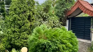 ویلای ساحلی درویش‌آباد سرخرود — تصویر ۲