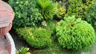 ویلای ساحلی درویش‌آباد سرخرود — تصویر ۳
