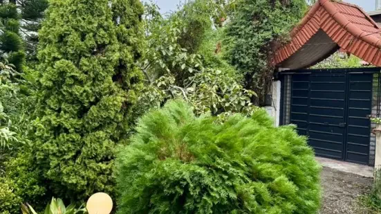 ویلای دوبلکس ساحلی در سرخرود ۷۰۰متر تا دریا سنددار