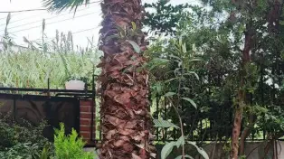 ویلای دوبلکس ساحلی درویش‌آباد سرخرود نزدیک دریا