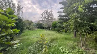 خرید باغ ویلا ساحلی