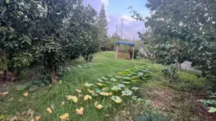 خرید باغ ویلا ساحلی