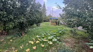 باغ‌ویلا رویایی ۱۰۰۰ متری استخردار ۲ کیلومتری دریا