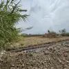 فروش زمین ۱۲۰۰متر عزت آباد