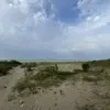 فروش زمین پلاک یک دریا مناسب شهرک سازی