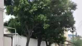 زمین ویلایی کلنگی مناسب ساخت هراز — تصویر ۳